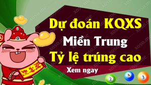 dự đoán chuẩn cặp xíu chủ miền trung