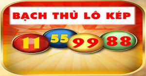 dự đoán chuẩn bạch thủ lô kép miền bắc