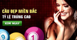 dự đoán chuẩn dàn đề 8 con miền bắc