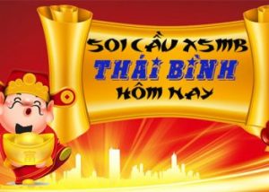 Kỹ thuật soi cầu Thái Bình