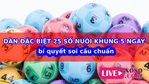 Dàn đặc biệt 25 số nuôi khung 5 ngày bí quyết soi cầu chuẩn
